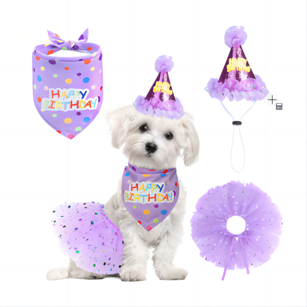 Dog birthday hijab with hat and dress girl suit